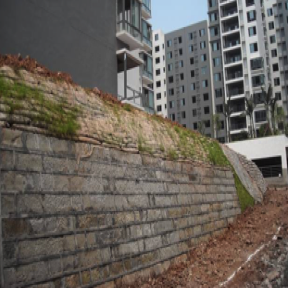 中小河道河流生态修复设计与施工 (2015)
Design & construction for mid-small river
ecological restoration 中小河道河流生态修复设计与施工 (2015)
Design & construction for mid-small river
ecological restoration